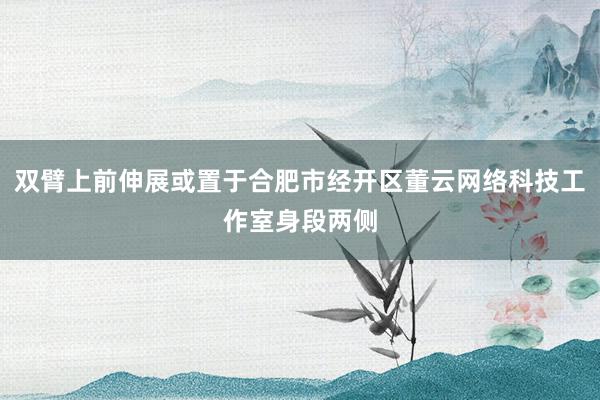 双臂上前伸展或置于合肥市经开区董云网络科技工作室身段两侧