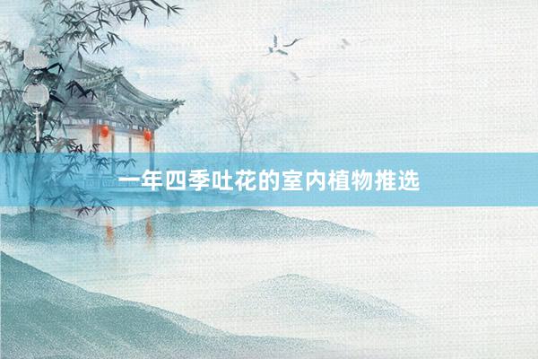 一年四季吐花的室内植物推选