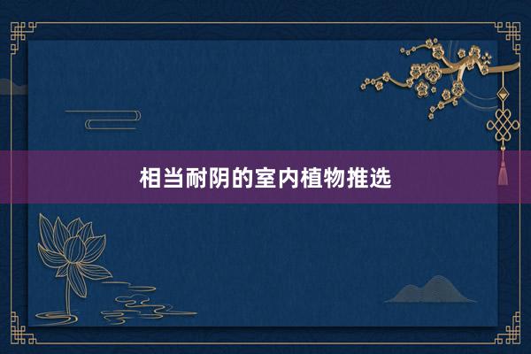 相当耐阴的室内植物推选