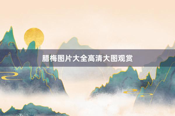腊梅图片大全高清大图观赏