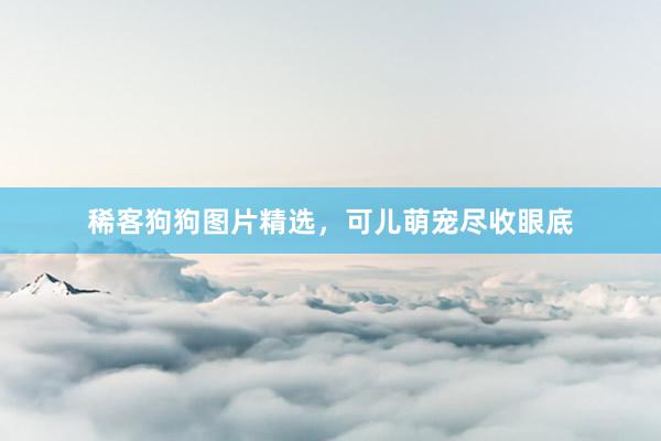稀客狗狗图片精选，可儿萌宠尽收眼底