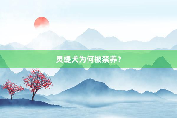 灵缇犬为何被禁养？